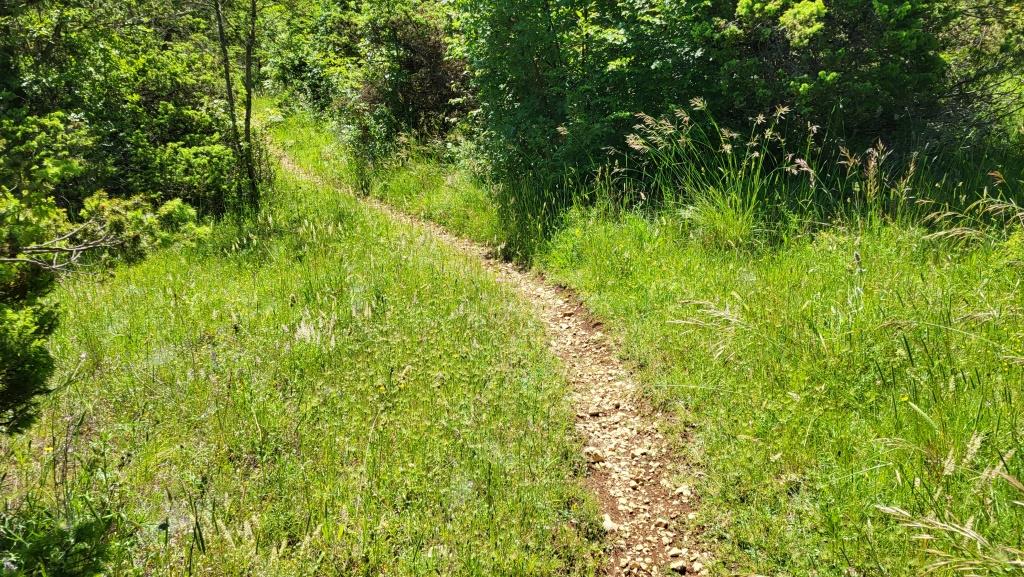 20250601_101856.jpg