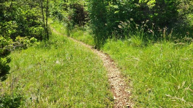 20250601_101856.jpg