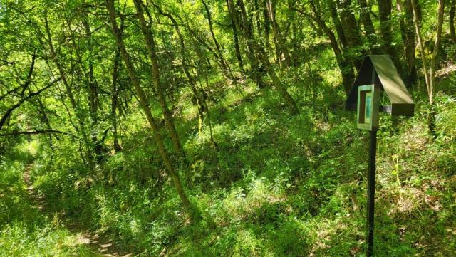 20250601_103151.jpg