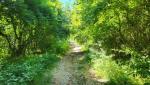 20250601_104633.jpg