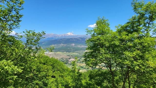 20250601_115948.jpg