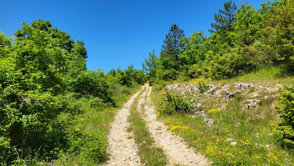 20250601_123809.jpg