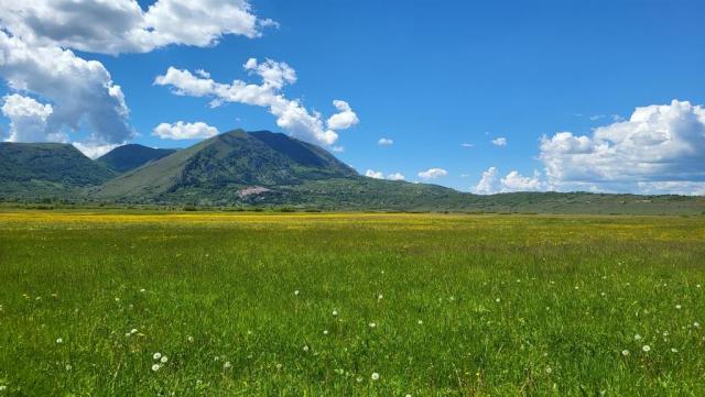 20250601_143509.jpg