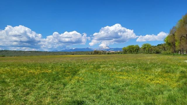 20250601_143920.jpg