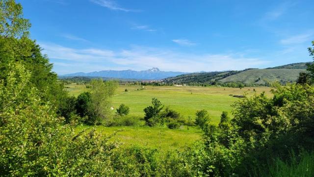 20250602_090419.jpg
