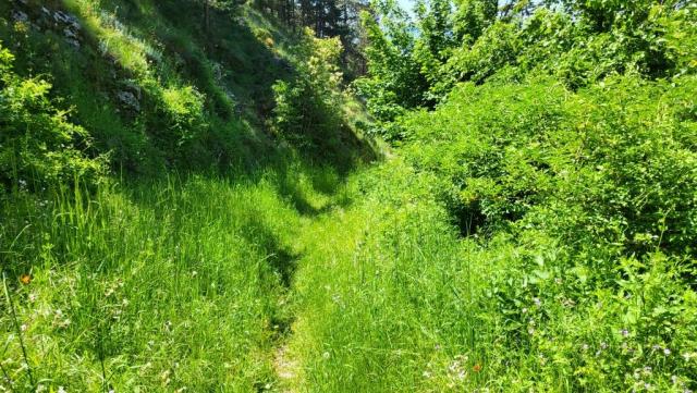 20250602_110741.jpg