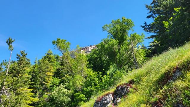 20250602_110943.jpg