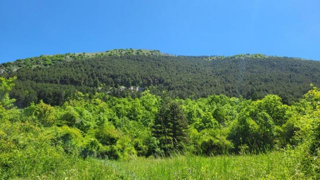 20250602_114524.jpg