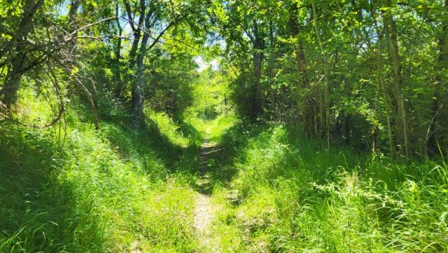 20250602_120059.jpg