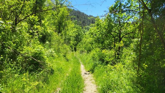 20250602_120533.jpg