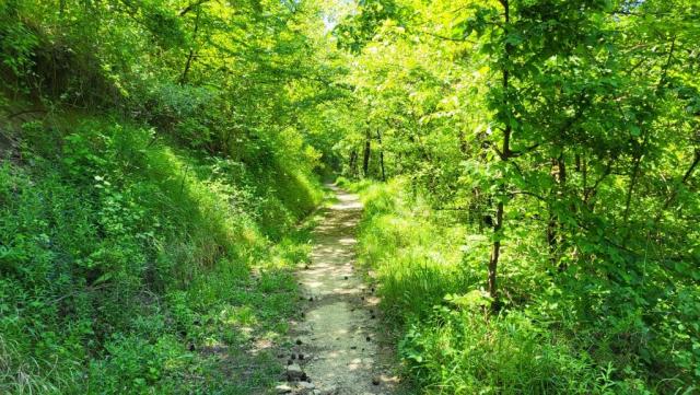 20250602_121044.jpg