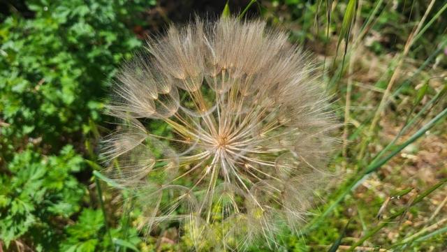 20250602_123157.jpg