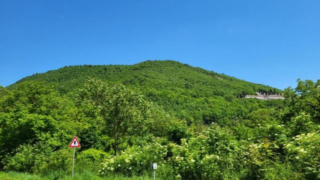 20250602_143118.jpg