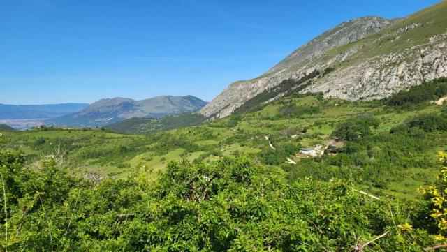 20250602_143119.jpg