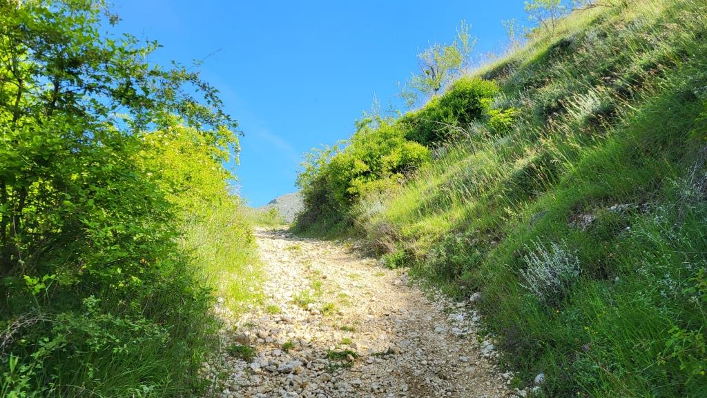 20250603_092243.jpg
