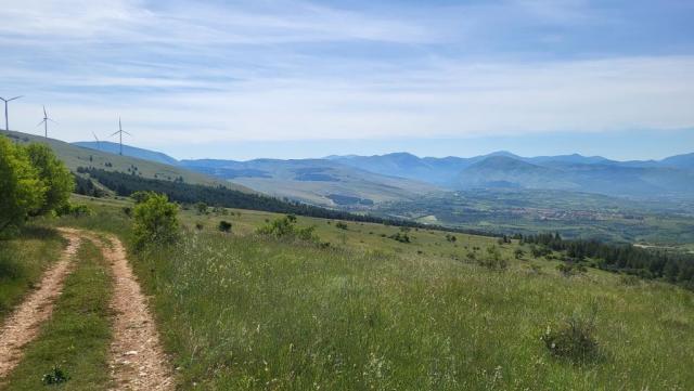 20250603_094216.jpg