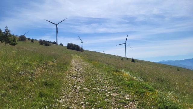 20250603_095957.jpg