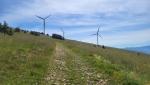 20250603_095957.jpg