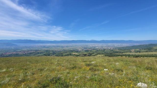 20250603_100621.jpg