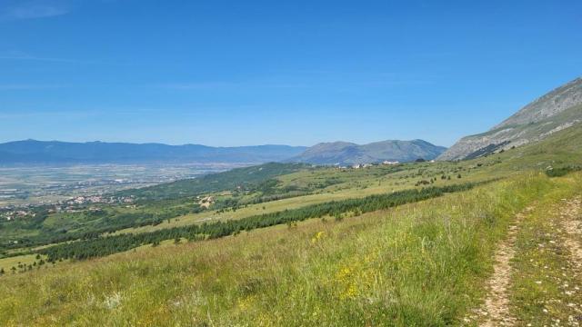 20250603_100628.jpg