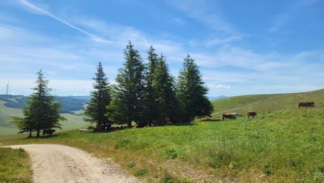 20250603_104405.jpg