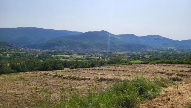 20250606_094211.jpg