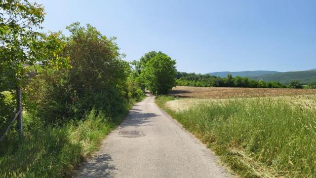 20250606_103552.jpg