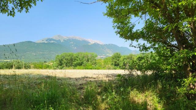 20250606_103814.jpg