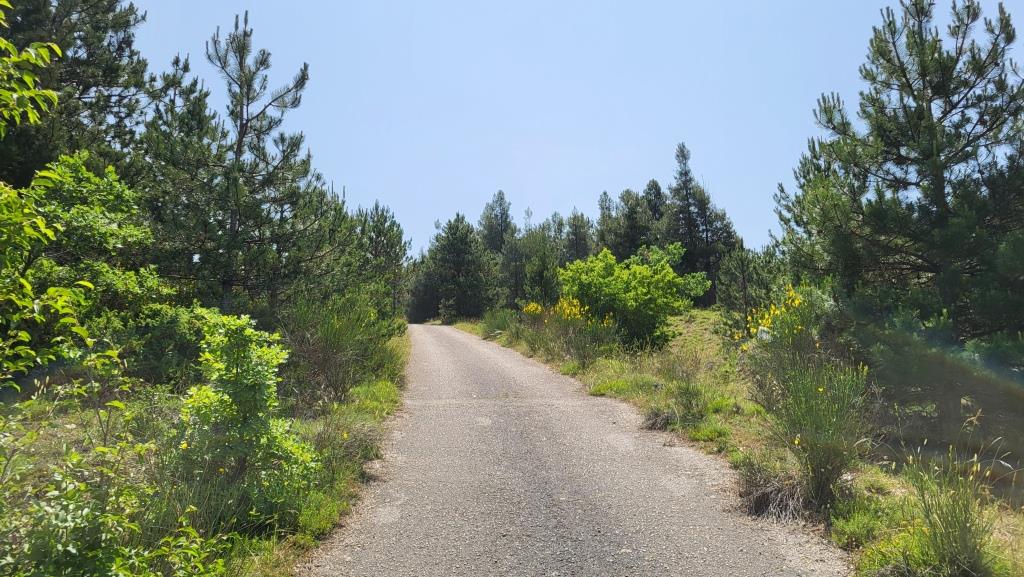 20250606_114653.jpg
