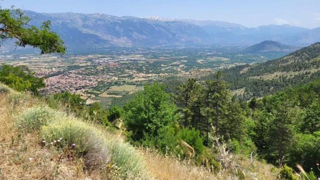 20250606_125717.jpg