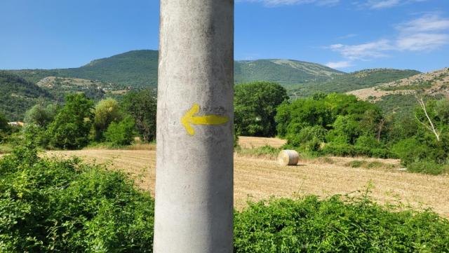 20250607_094244.jpg