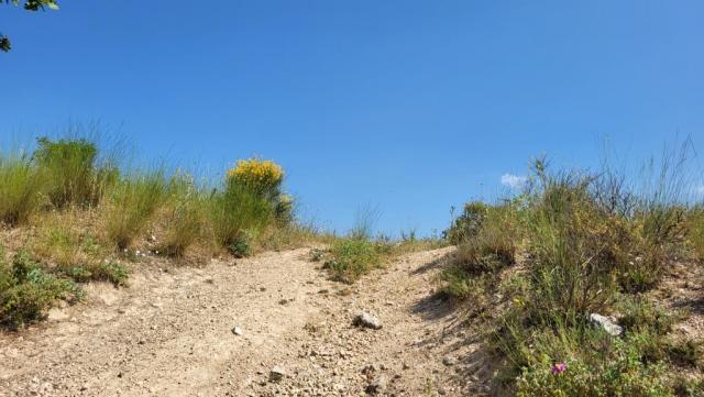 20250607_102304.jpg