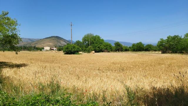 20250607_114951.jpg