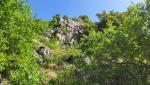 20250608_095048.jpg