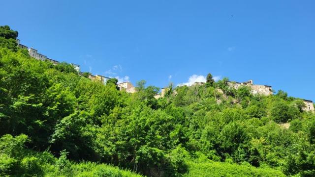20250608_103054.jpg