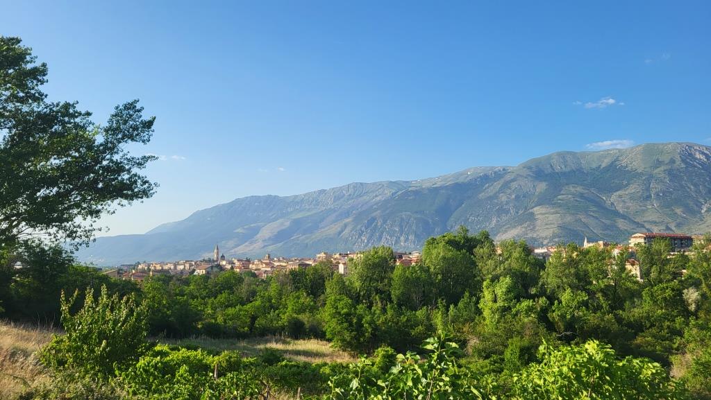 20250608_183648.jpg
