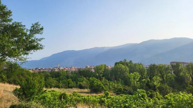 20250609_071705.jpg