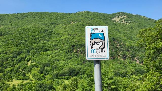 20250609_102417.jpg