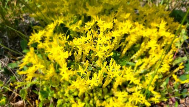 20250609_103253.jpg