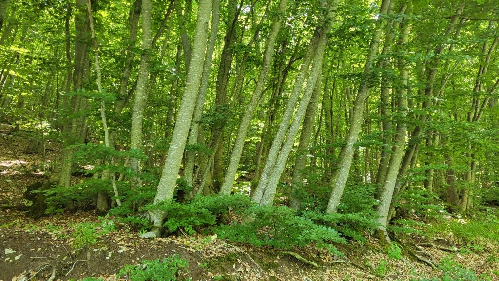 20250609_113051.jpg