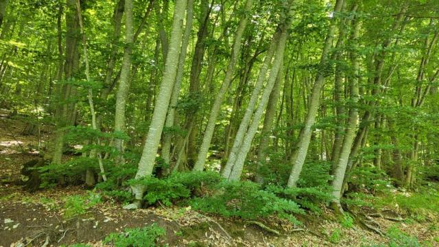 20250609_113051.jpg