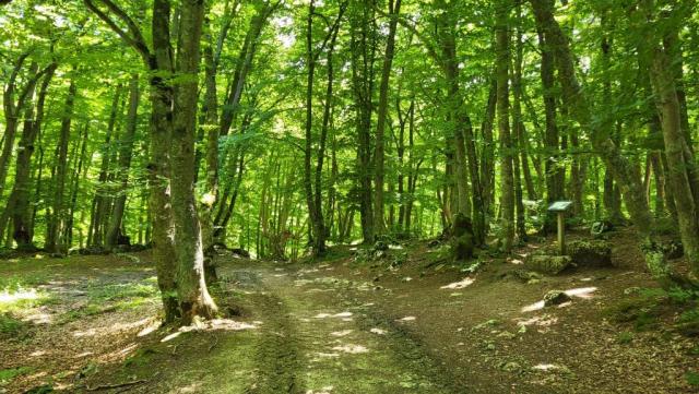 20250609_120116.jpg