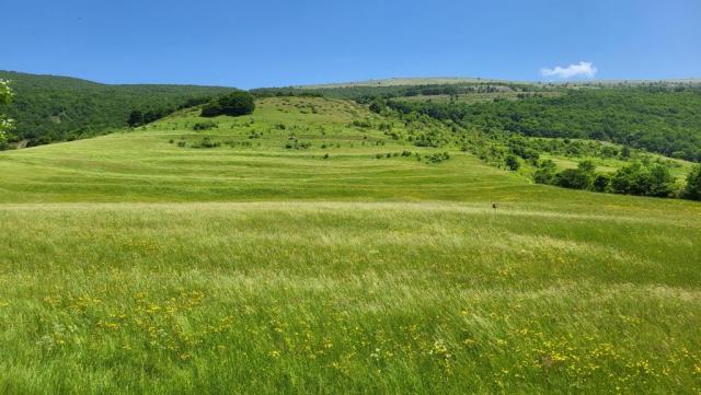 20250609_123224.jpg