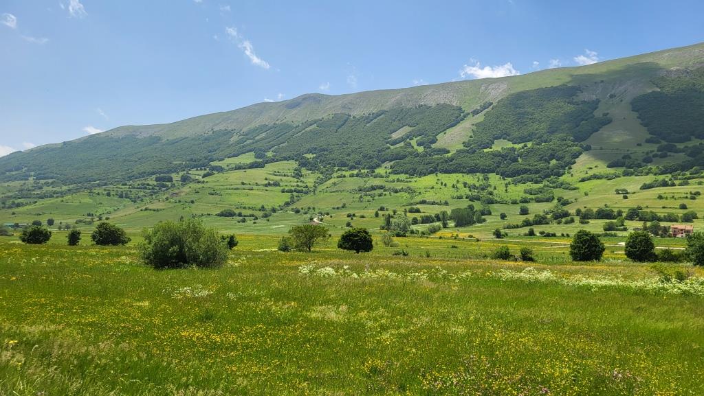 20250609_124153.jpg