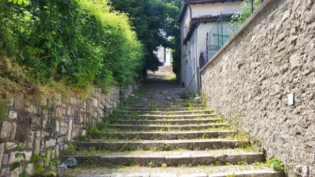 20250609_144810.jpg