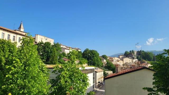 20250610_082053.jpg