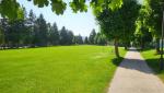 20250610_095704.jpg