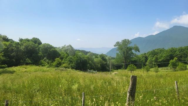 20250610_105916.jpg