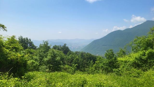 20250610_110606.jpg