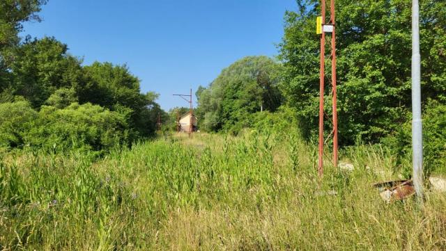 20250611_093626.jpg
